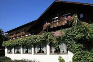 Hotel Auhof, Schruns