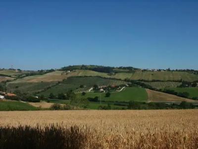 A3Passi Agriturismo tra gli Ulivi - 8