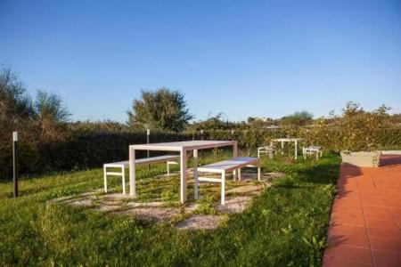 A3Passi Agriturismo tra gli Ulivi - 66