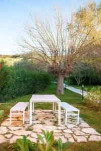 A3Passi Agriturismo tra gli Ulivi - 109