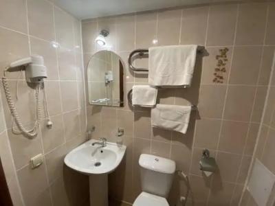 АМАКС Премьер-отель - 108