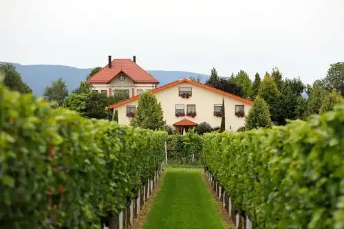 Villa Hochdörfer Gästehaus - 0