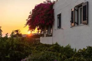 Margarita Apartments, Ierapetra