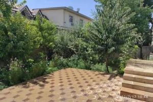 Back in 1908., Samarkand