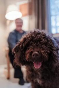 Sahanlahti Resort - 41