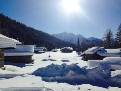 La Jolie Bergere - 14