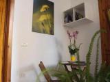 Standard Double room with garden view