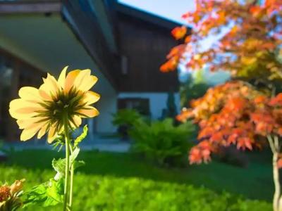 Hubertus Schliersee - 76