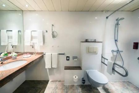 Leonardo Düsseldorf Airport - Ratingen - 9