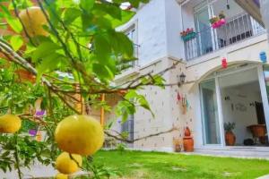 No Onbir Alacati, Alacati