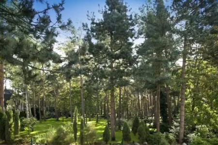 StrandFischland - 53