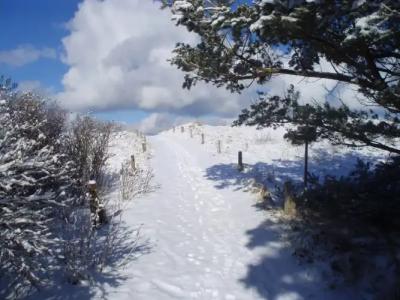 StrandFischland - 21