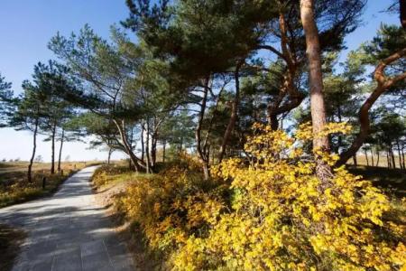 StrandFischland - 66