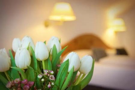 Concordia Wellness& SPA - 19