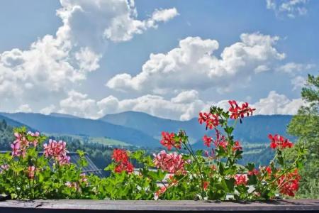 Bayerischer Hof - 135