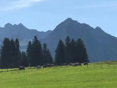Garni Oberdorfer Stuben - 15