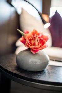 Restaurant Spa Torkel - 11