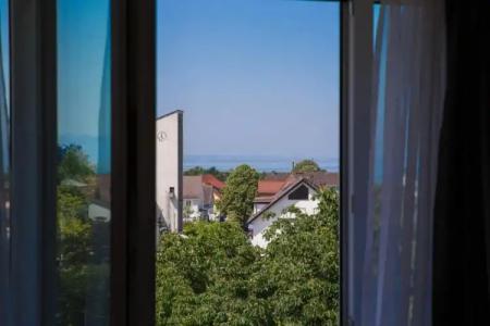 Adler & Gasthaus - 30