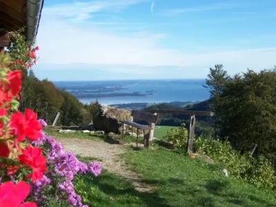 Boutique Residenz Winkler - 14