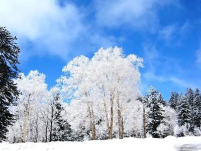 Asahidake Onsen Deer Valley - 23