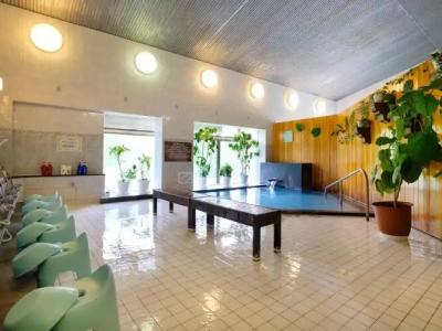 Asahidake Onsen Deer Valley - 15