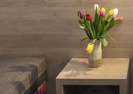 Creatif Elephant - 21