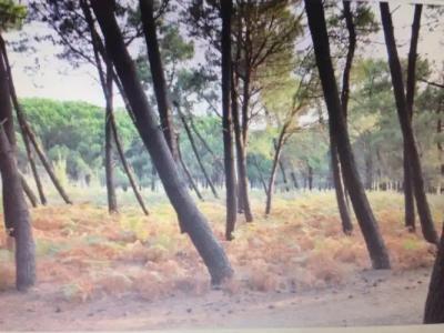 Guesthouse Rozafa Velipoj - 8