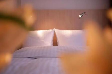 Senator München - 24