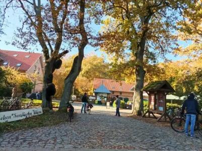 Schlösschen Sundische Wiese - 17