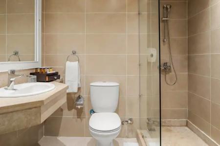 Pickalbatros Aqua Park Resort - - 106