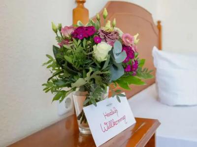 Mercure Plaza Magdeburg - 40