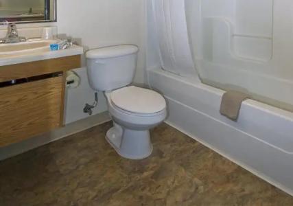 WoodSpring Suites Macon West I-475 - 8