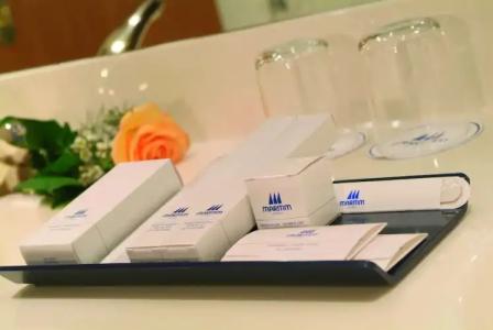 Maritim Airport Hannover - 73