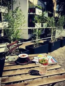 Mauritius Komfort in der Altstadt - 10