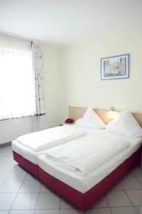 Elite an der Universität - 5