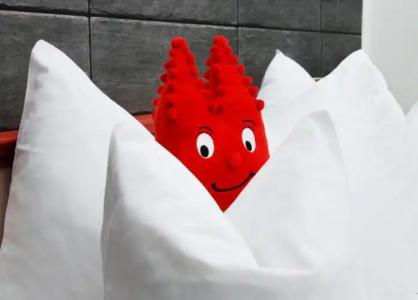 Ludwig Superior - 24