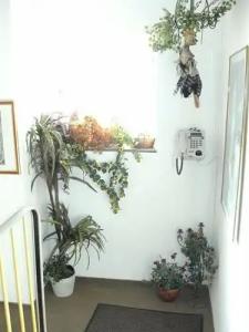 Hostel Heinzelmännchen - 9