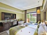 Deluxe Double room with garden view