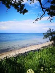 Birke - Appartments Waldesruh - 23