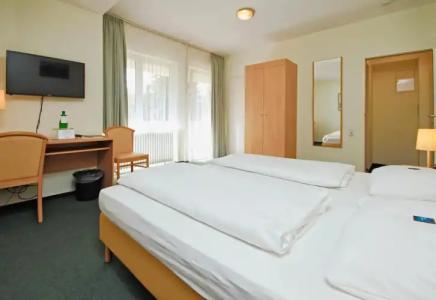 Wiking - 1