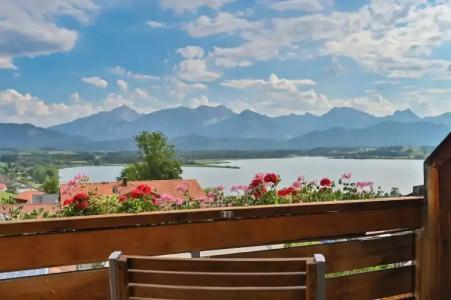 BioEggensberger - 36