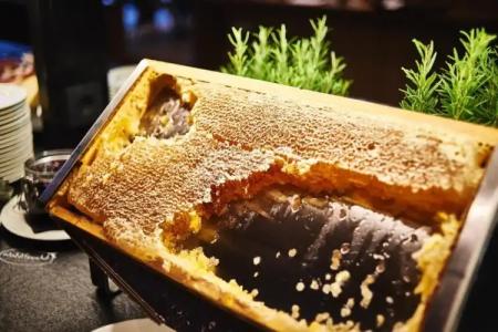 Zugbruecke Grenzau - 7