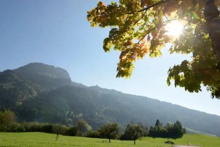 Die Gams Restaurant - 51