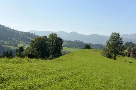 Die Gams Restaurant - 49