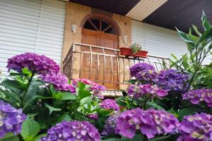 Tsitrus Guest house, Otradnoye