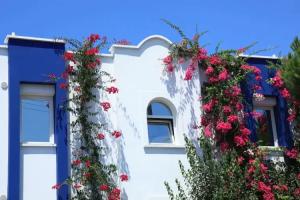 Catamaran Hotel, Guendogan