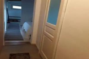 L’albero Di Alberto, San Giovanni la Punta