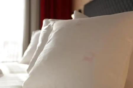 Lngenfelder Hof - 33