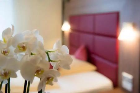 Ambient Zum Schwan - 26