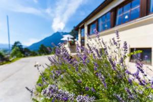 Landhotel & Berggasthof Panorama, Garmisch-Partenkirchen